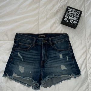 Express Shortie High Rise Shorts